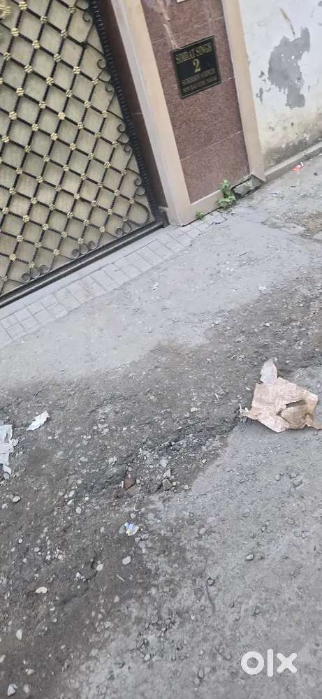 Ameo Diesal In Mint Condition