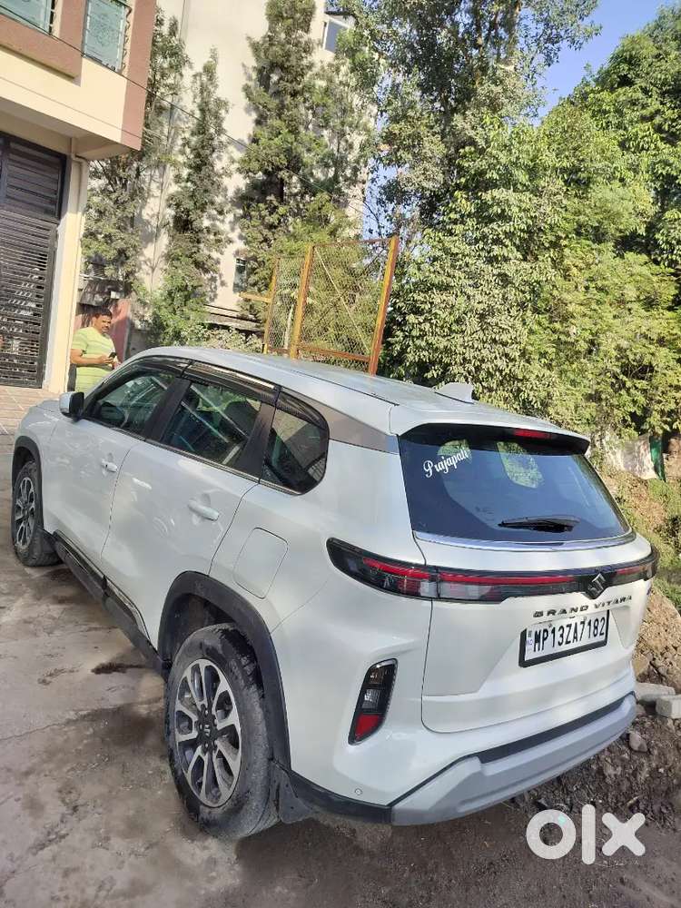 Gadi Bechkar Makan Banana Hai