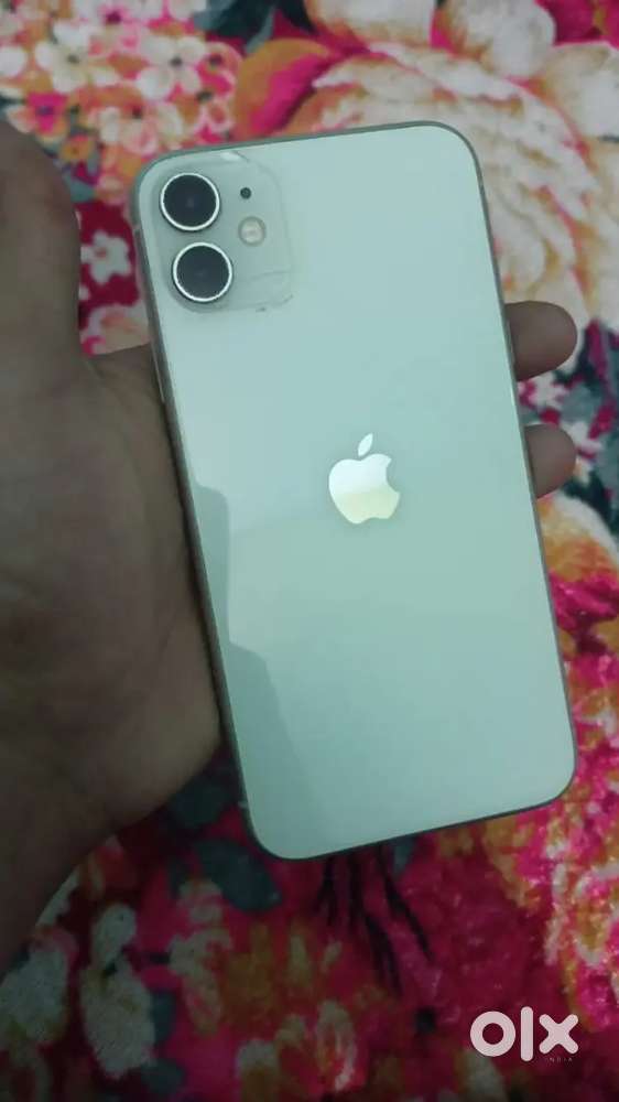 Buy & Sell Second Hand Iphone 11 in India, Used Mobiles in India | OLX