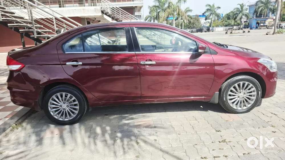 Ciaz Zdi Diesel