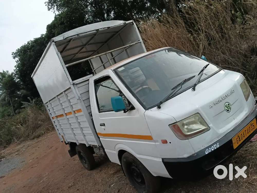 Insurance 5 Month Fitness 3 Month Update