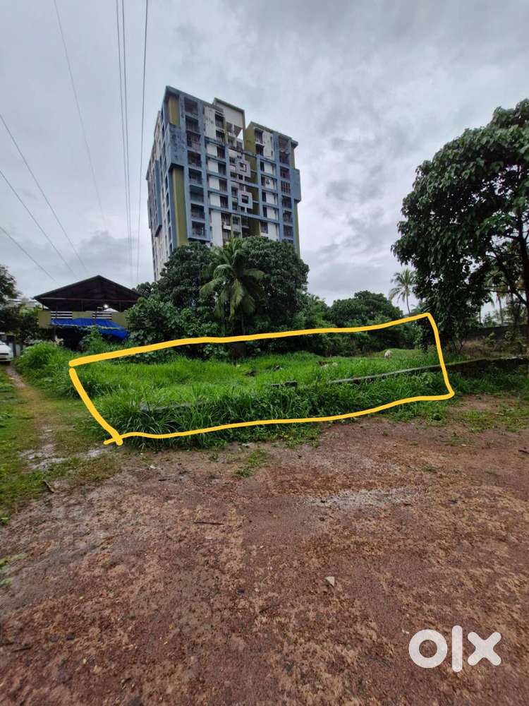 Plot at kakanad - Lands & Plots in Kakkanad, Kochi - 1856910066