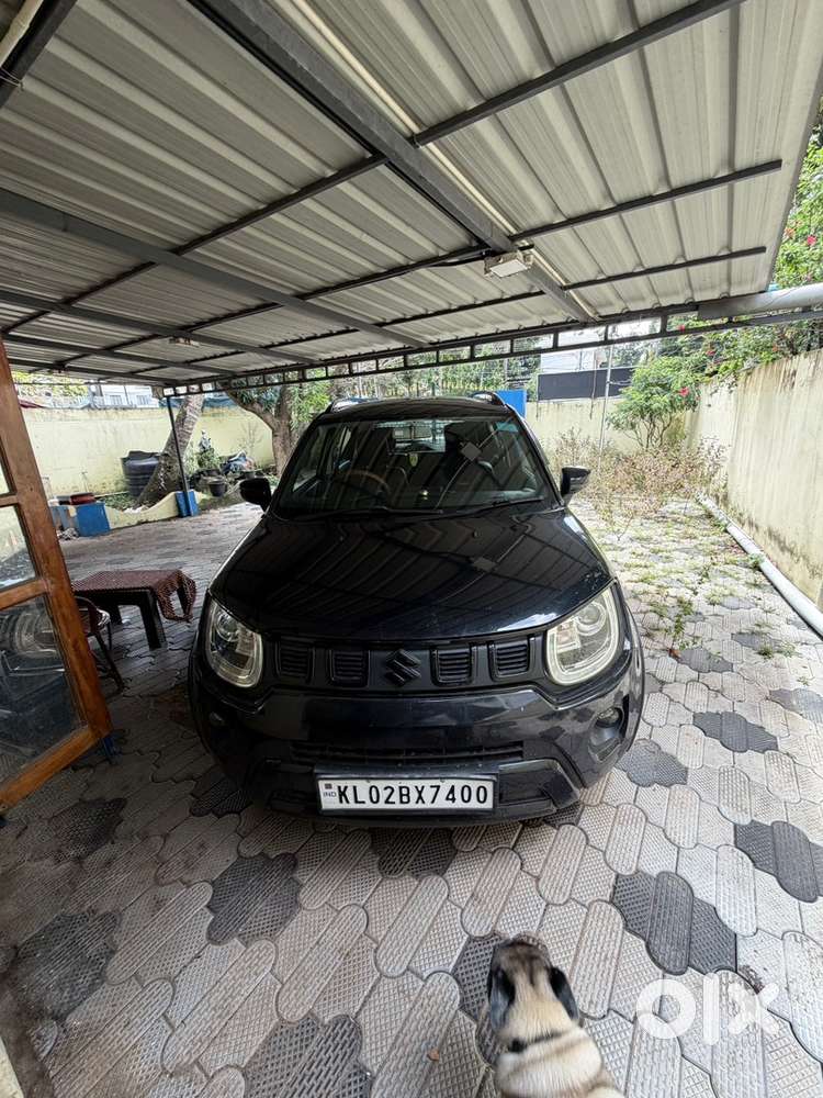 Maruti Suzuki Ignis 1.2 Petrol 2024