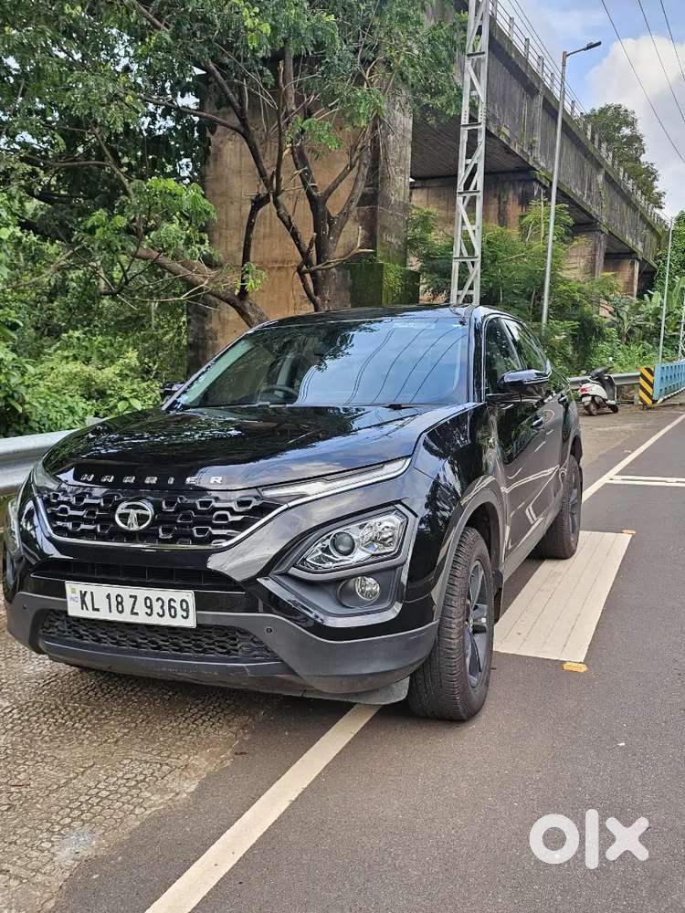Harrier Xt +