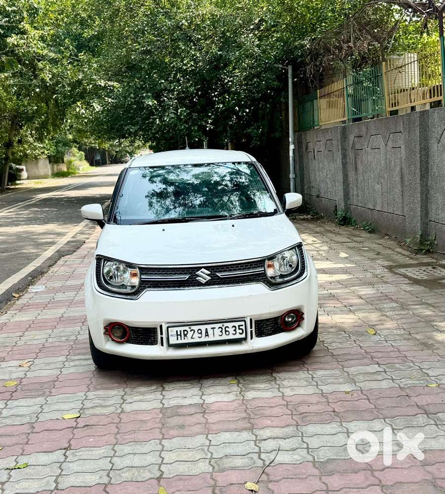 Maruti Suzuki Ignis 1.2 Delta Mt, 2019, Cng & Hybrids