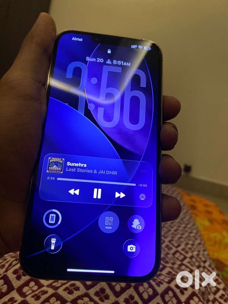 Iphone 13 pro maxx