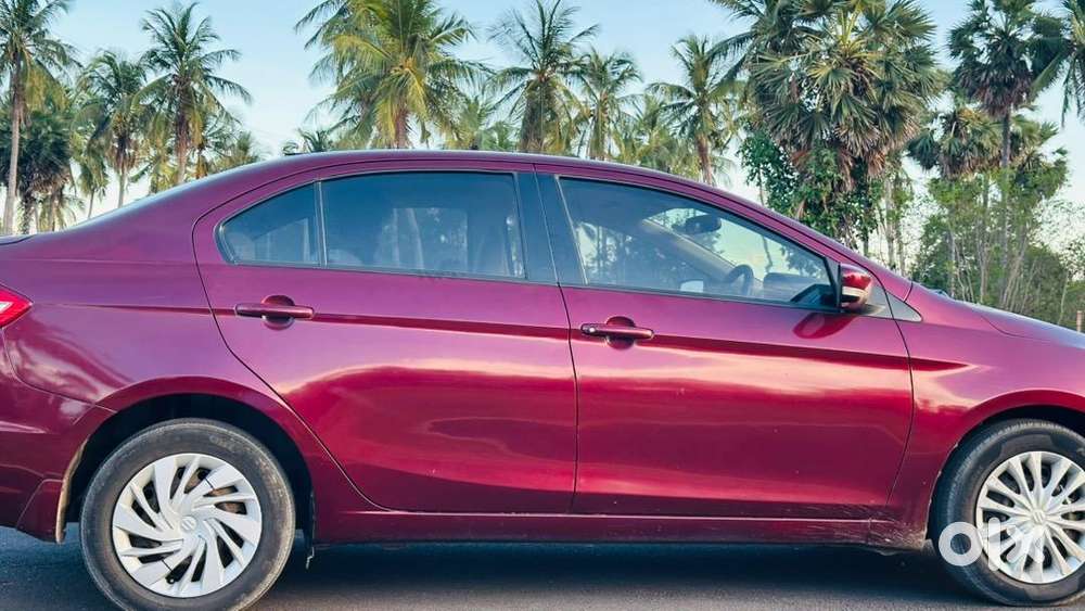 Maruti Suzuki Diesel 2015