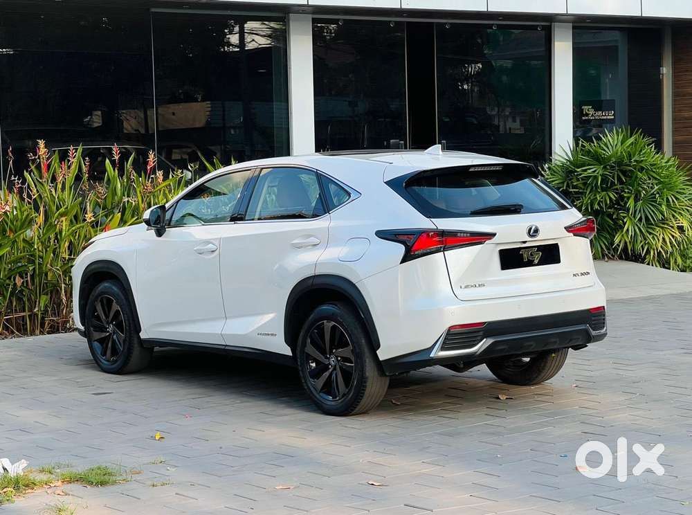 Lexus Nx Lexus-nx-300h-luxury, 2020, Petrol