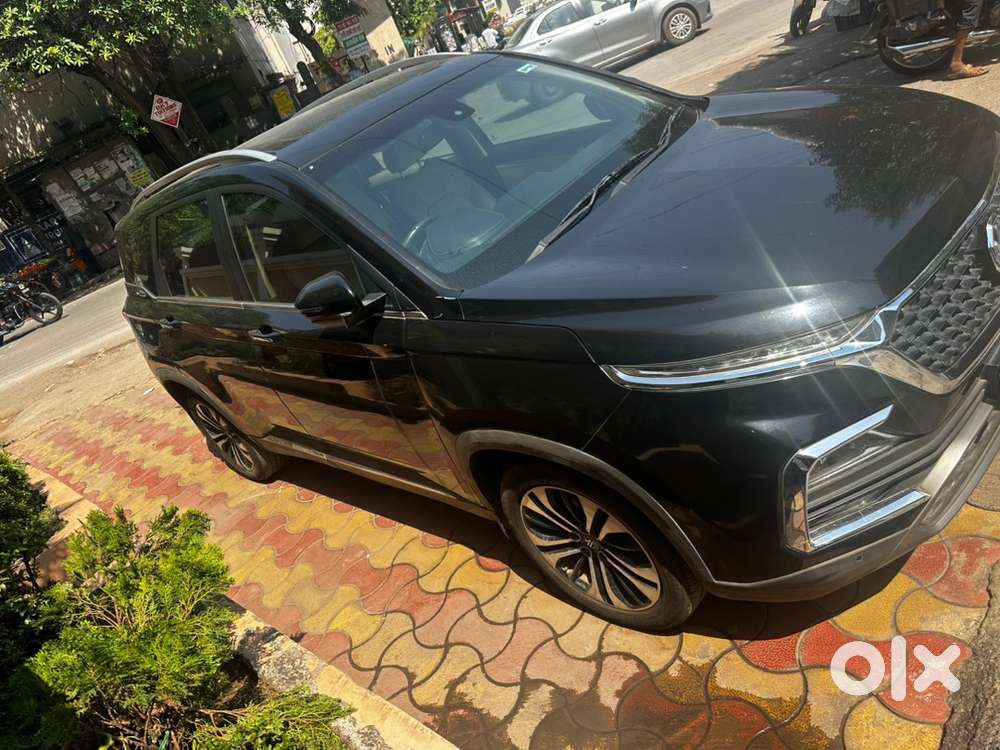 September 2021 Hector Top Model