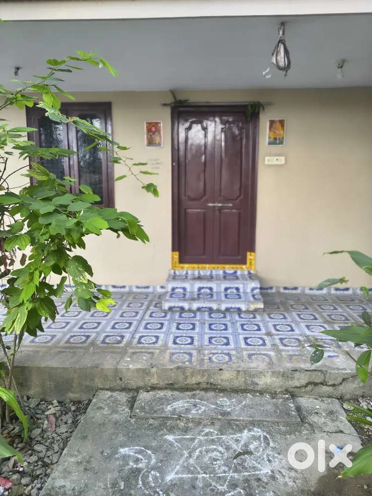 House for rent