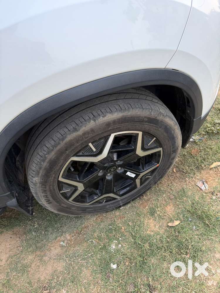 Tata Safari 2024 Diesel Clean Nd Well Maintaine