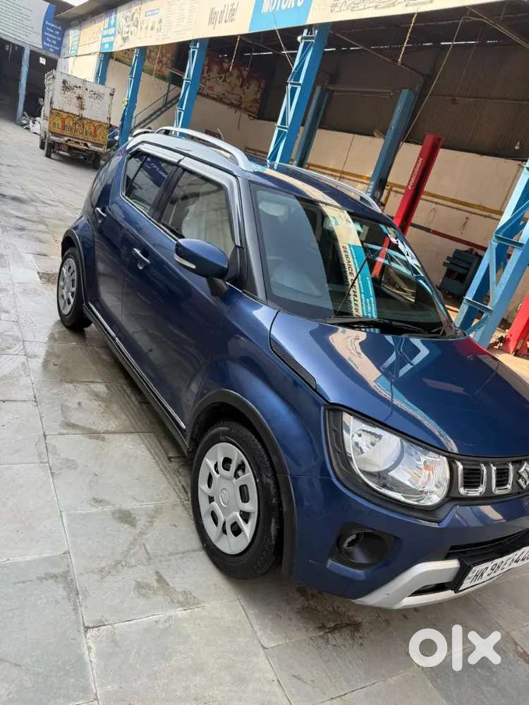 2023 Maruti Suzuki Ignis