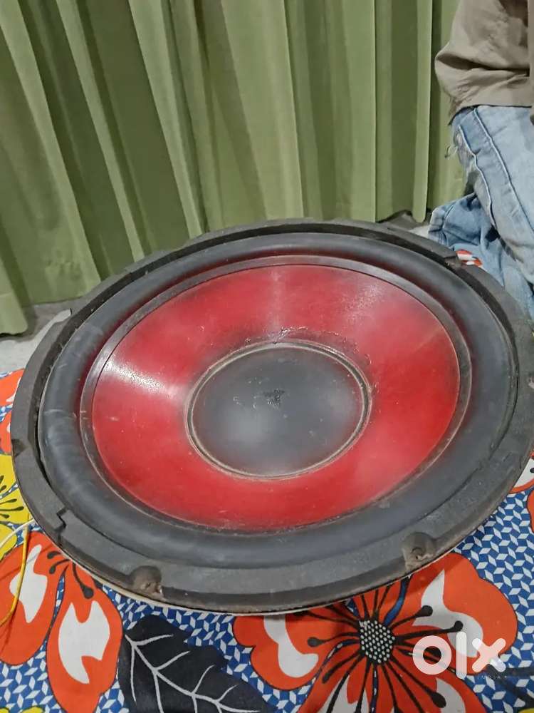 Bass 15 inch