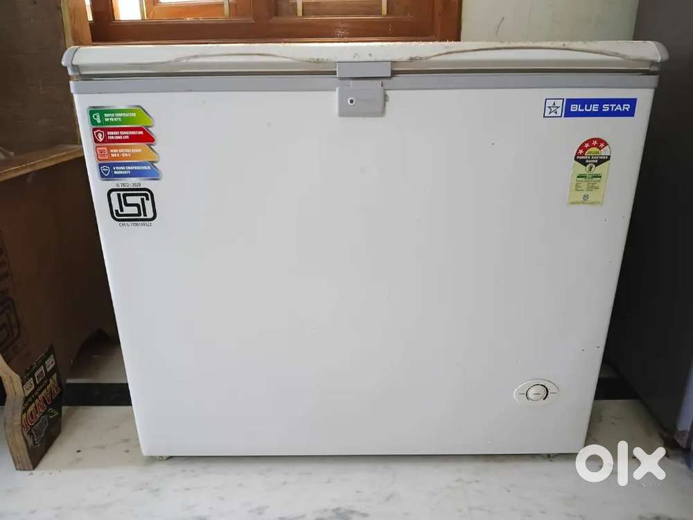 Blue Star Freezer