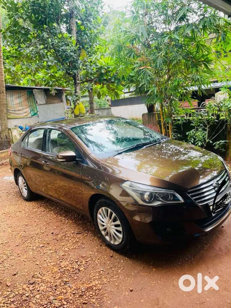 Maruti Suzuki Ciaz Vdi 2016 Model