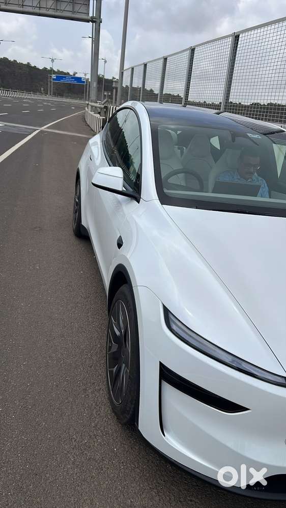 Tesla Model Y 2029 Electric