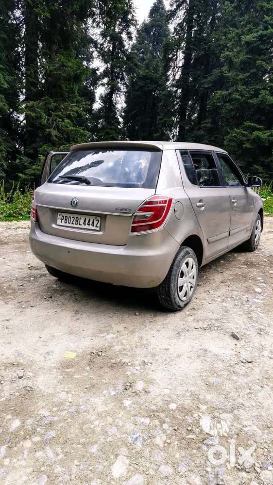 Skoda Fabia 2010 Petrol 47000 Km Driven