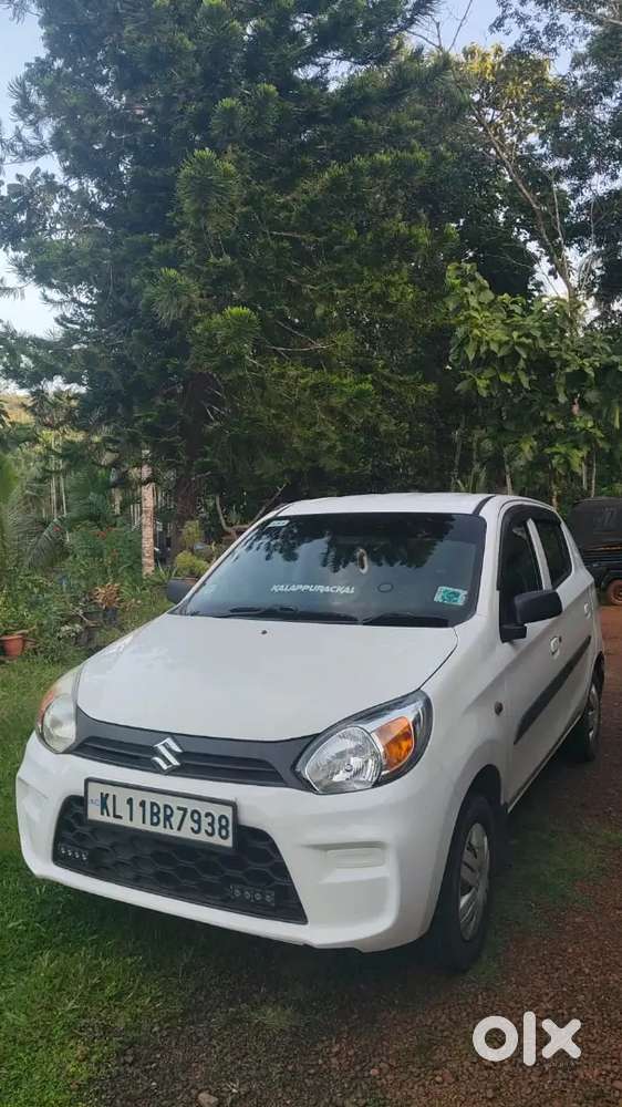 Maruti Suzuki Alto 800 2020