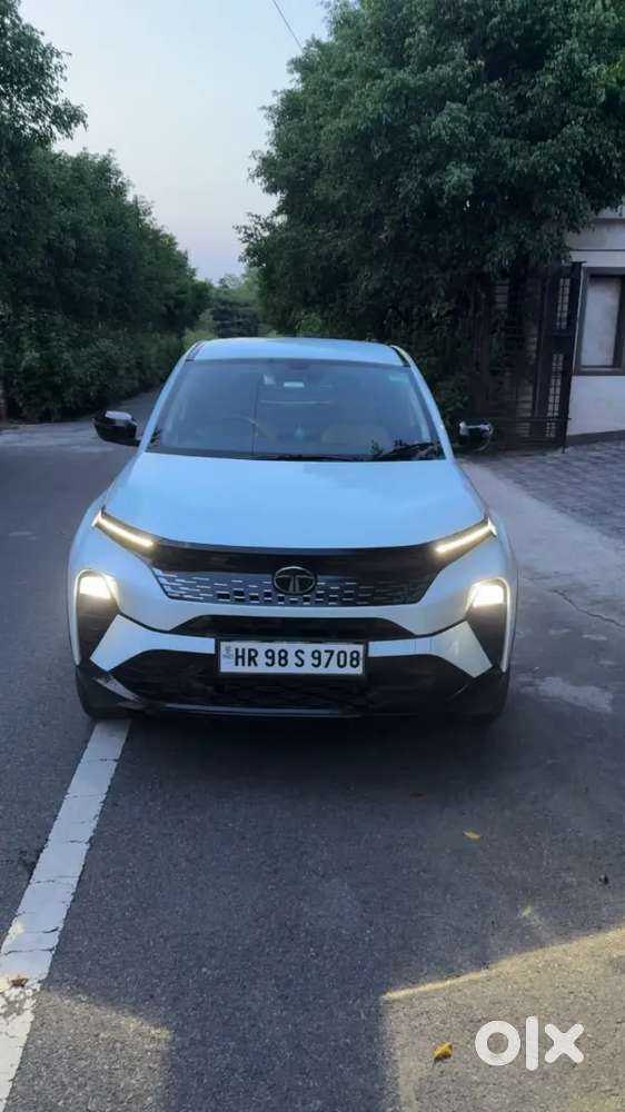 Tata Curvv Plus Petrol 2024