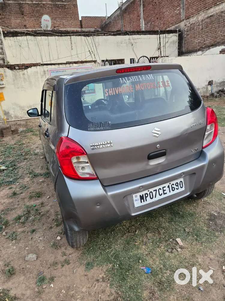 Celerio Sall