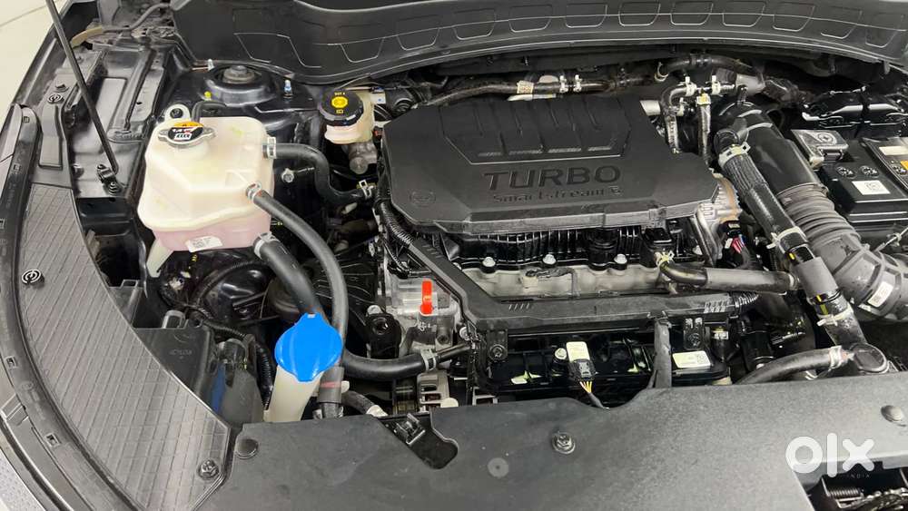 Kia Seltos 1.4 X-line Dct, 2025, Petrol