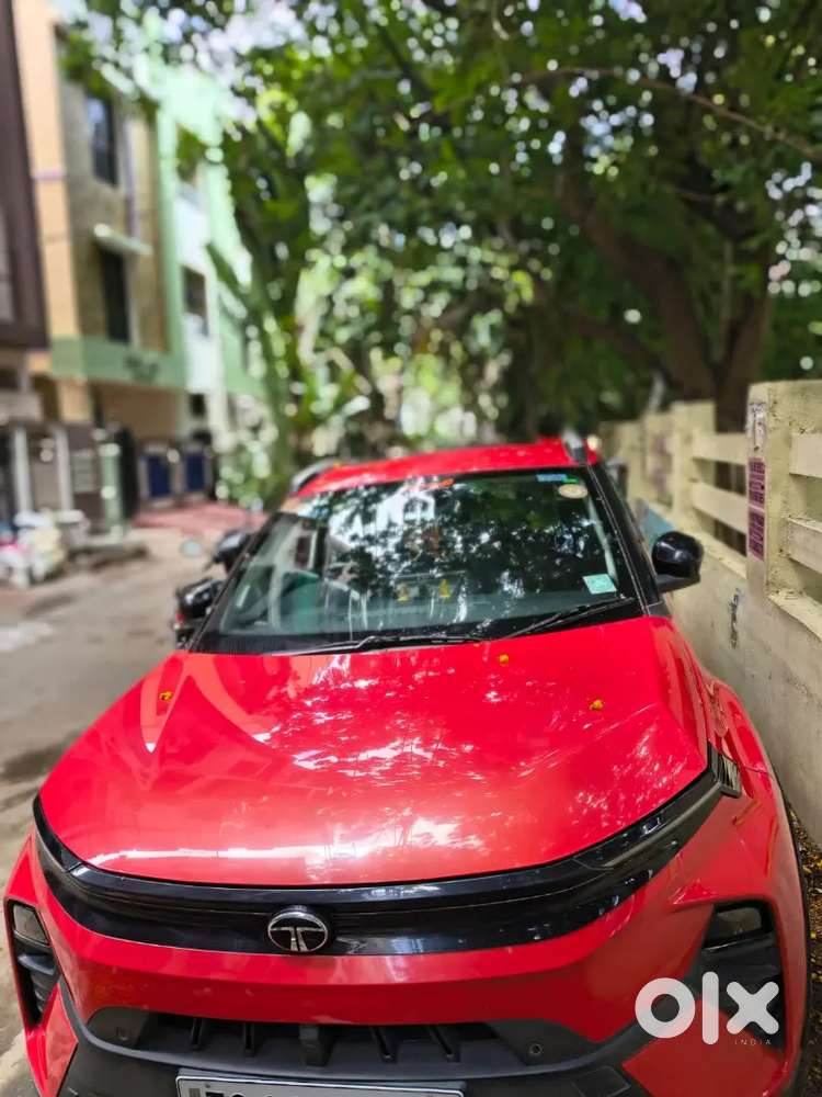 Tata Nexon Creative Plus 2024 Petrol Automatic