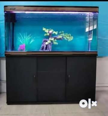 Moulded aquarium clearance