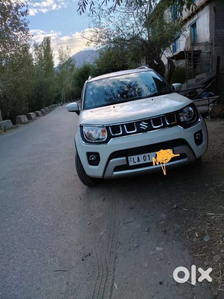 Maruti Suzuki Ignis 2024 Km Driven