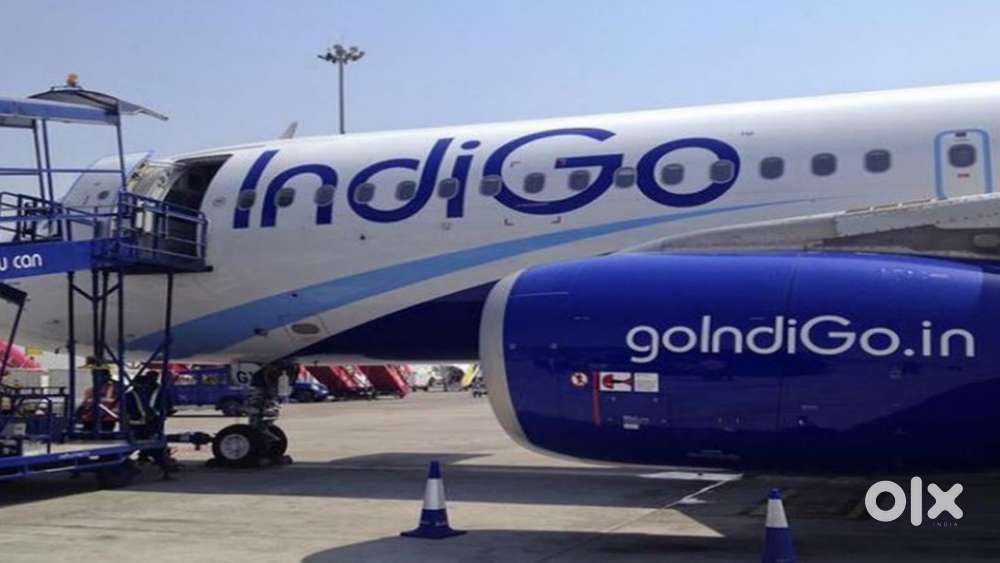 Now We Are Hiring For Ground Staff Jobs In IndiGo Airlines