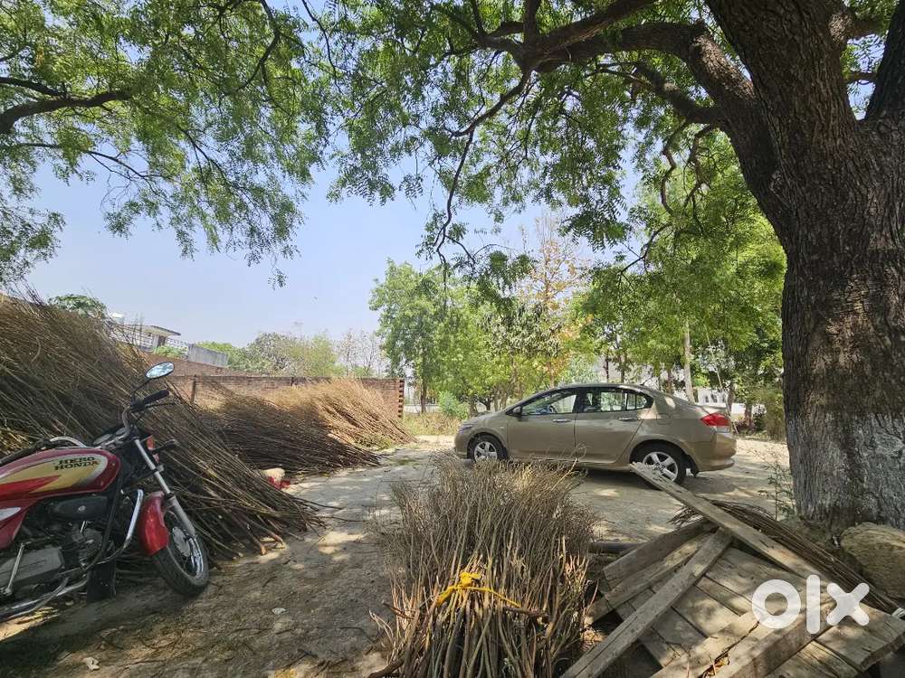 Honda City 2009 Good Condition