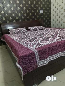 Olx old store furniture bed