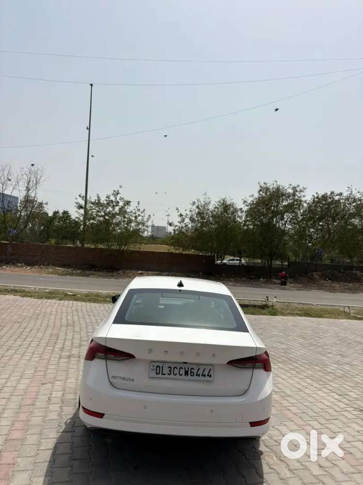 Skoda Octavia 2021 Petrol 29000 Km Driven