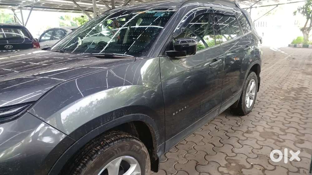 Tata Safari 2025 Diesel 12000 Km Driven