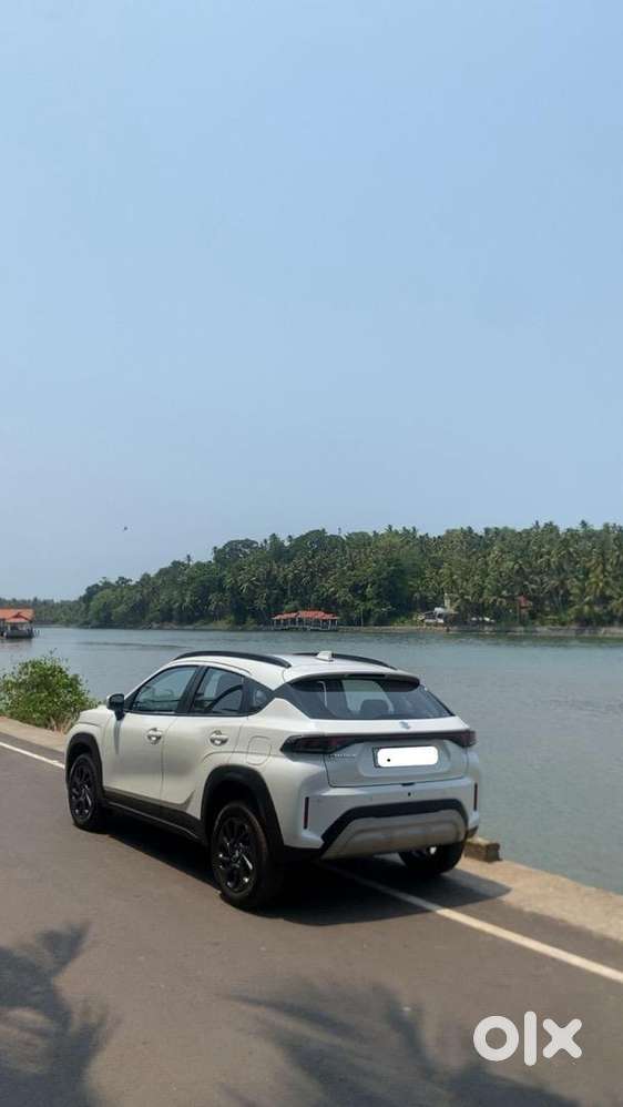 Maruti Suzuki Petrol 2024