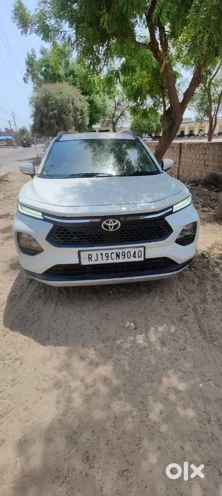 Toyota Urban Cruiser 2024