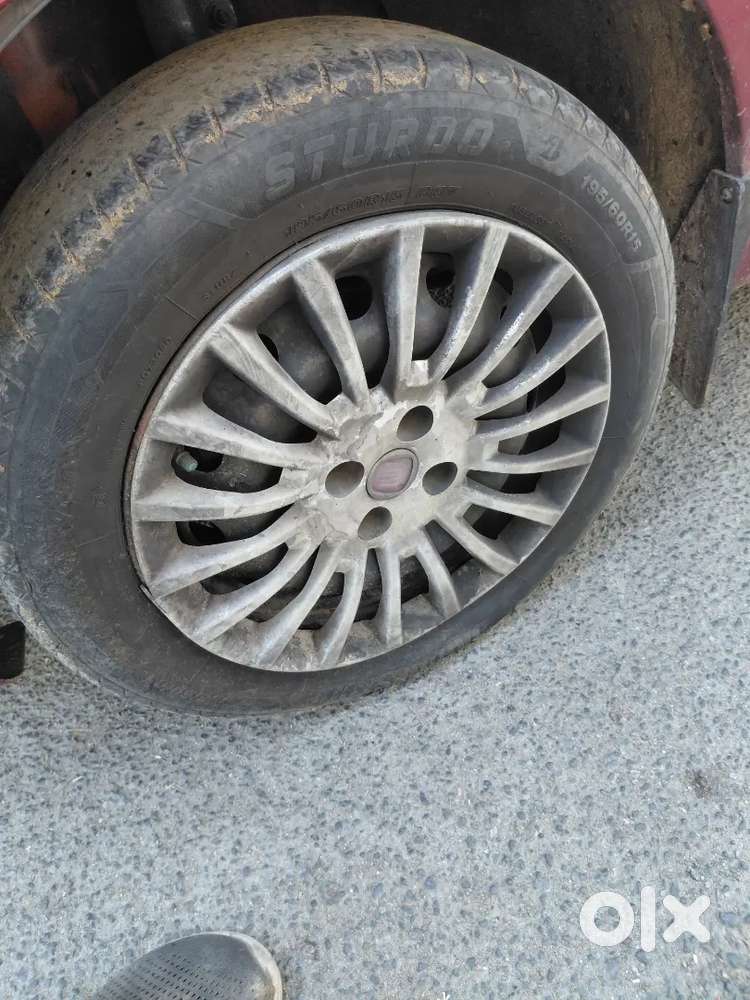 Fiat 1100 Diesel 2011