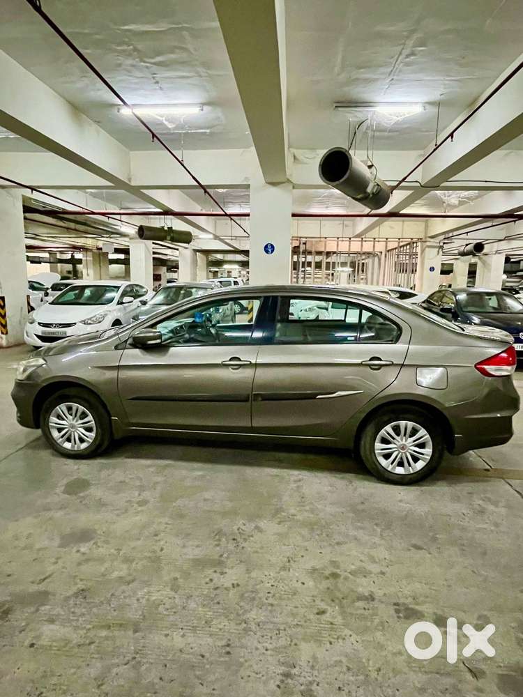 Maruti Suzuki Ciaz Smart Hybrid Delta , 2019, Petrol