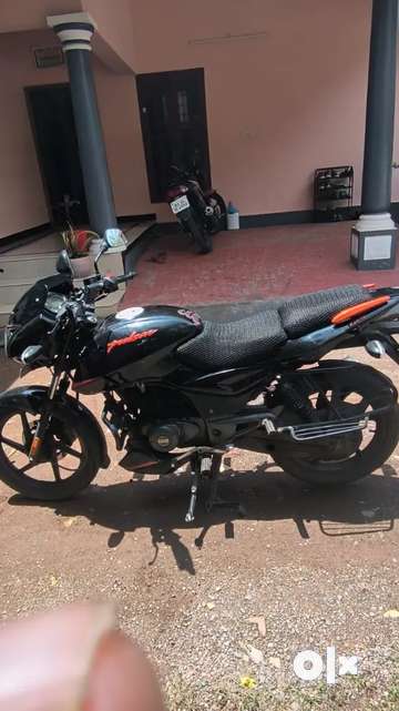 Pulsar 125 clearance olx