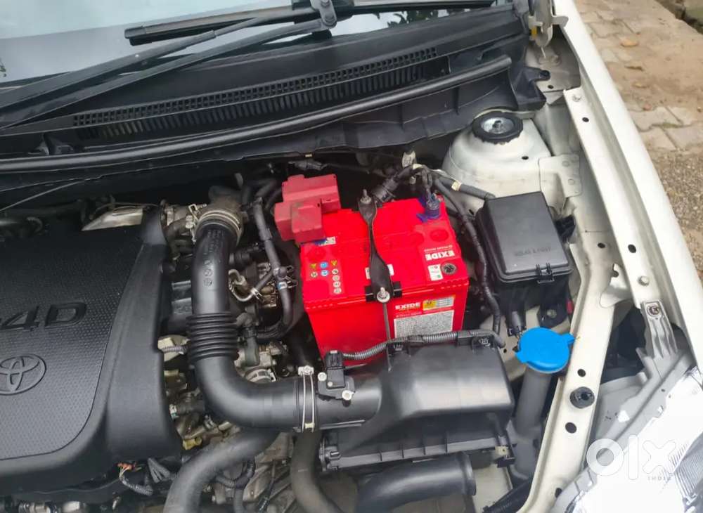 All Services Company Record. Globe Models