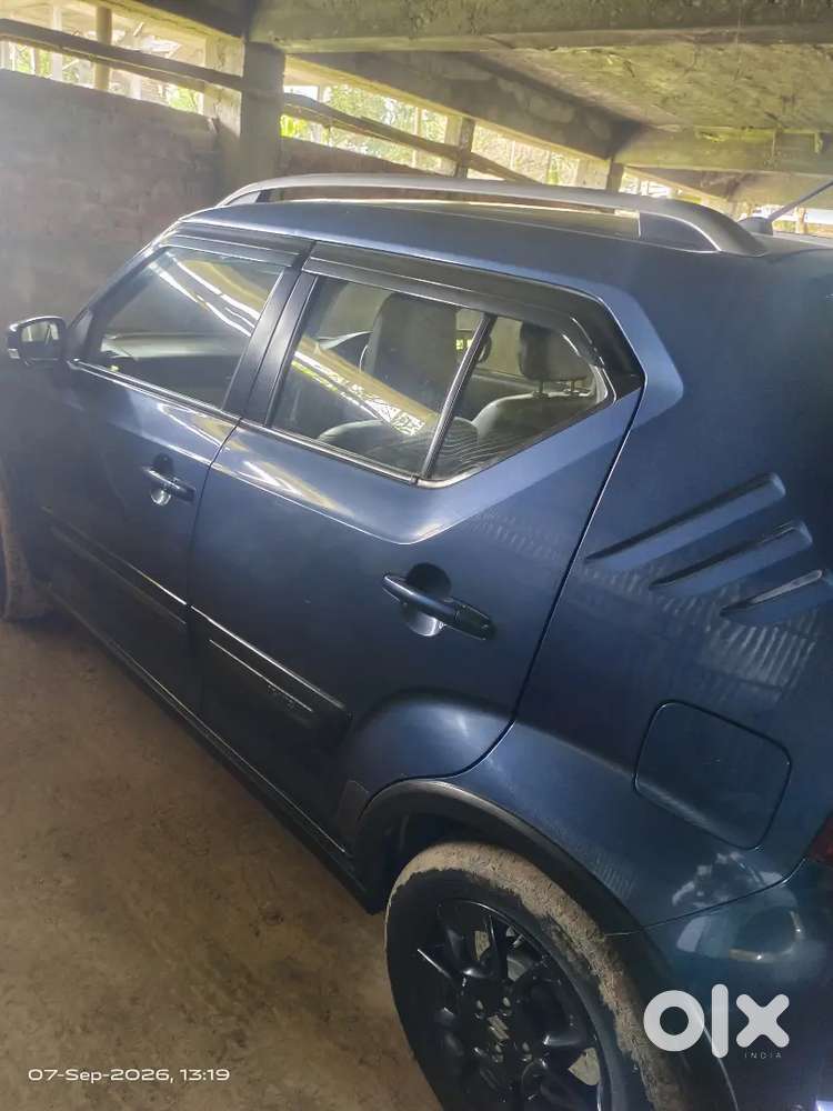 2019 Maruti Suzuki Ignis