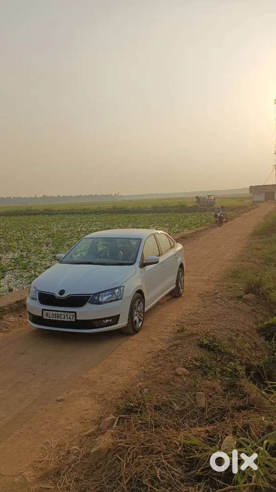 Skoda Rapid 2014 Diesel Well Maintained
