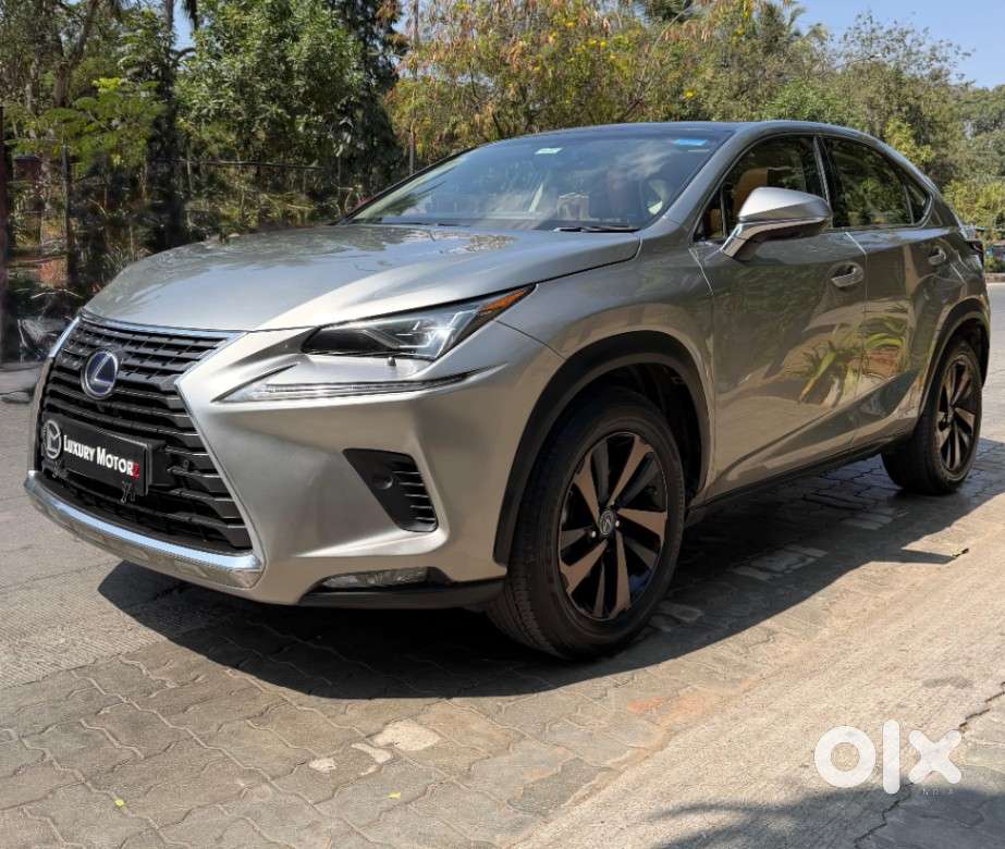 Lexus Nx Lexus-nx-300h-luxury, 2019, Petrol
