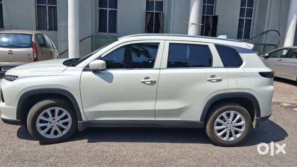 Grand Vitara Sigma White 3 Month Old