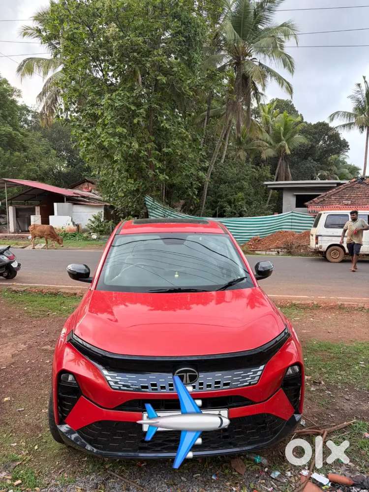 Tata Curvv 2024 Petrol Well Maintained