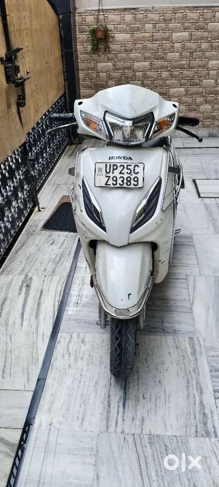 White Colour Hai