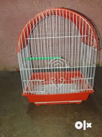 Parrot cage olx best sale