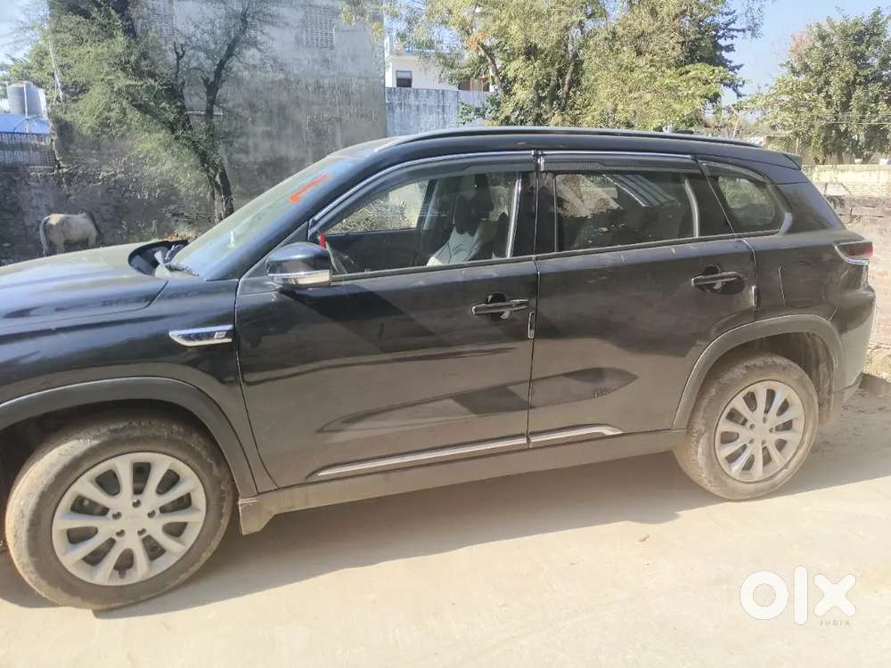 No One Sell My Car