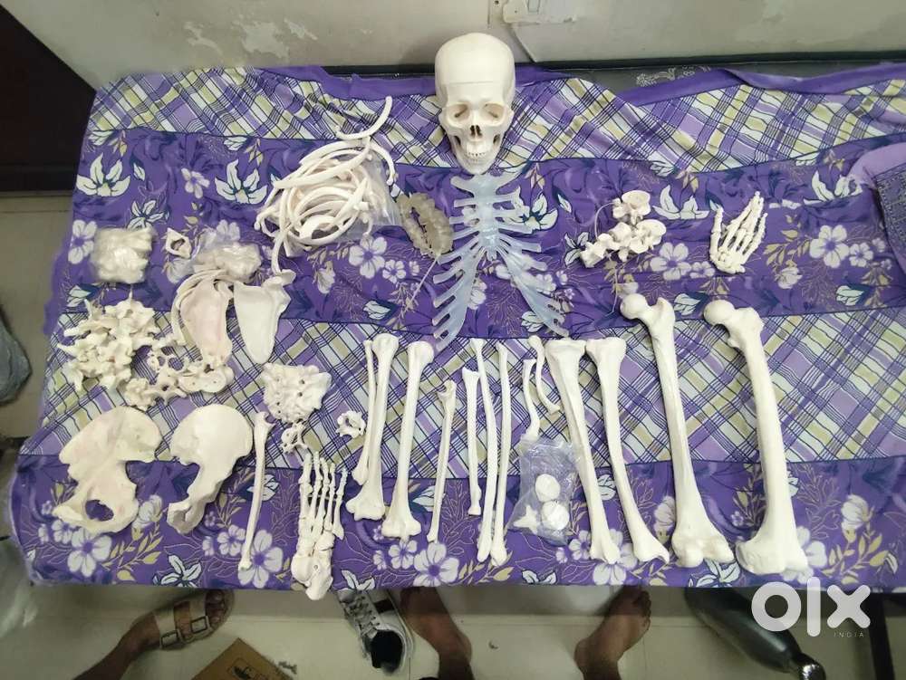 Bone set 2nd hand