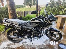 Buy Sell Second Hand 2019 Bajaj Discover 125 in India Used Motorcycles in India OLX