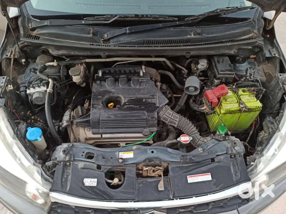 Celerio 2020 Second Lady Dr. Driven